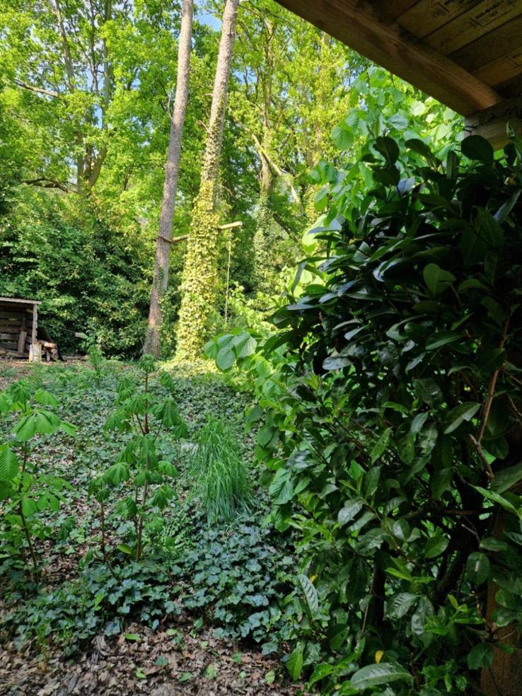 Benb Op De Vleet Vrijstaande Accommodatie Plantage Centrum Exteriör bild